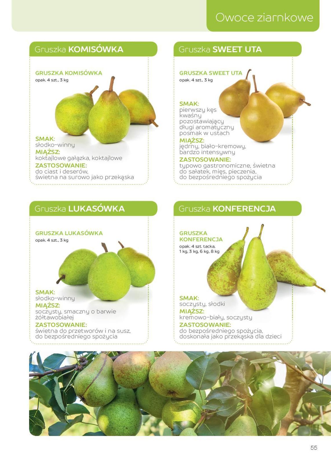 Gazetka promocyjna MAKRO str. 55