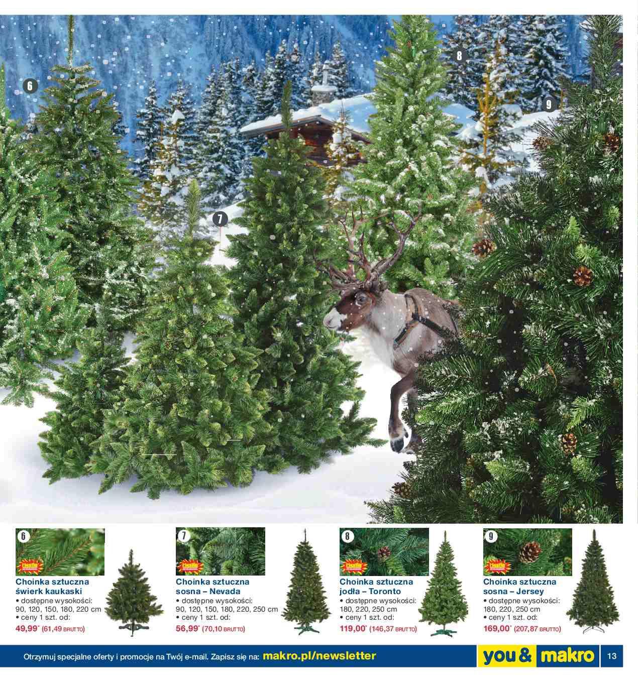 Gazetka promocyjna MAKRO str. 13