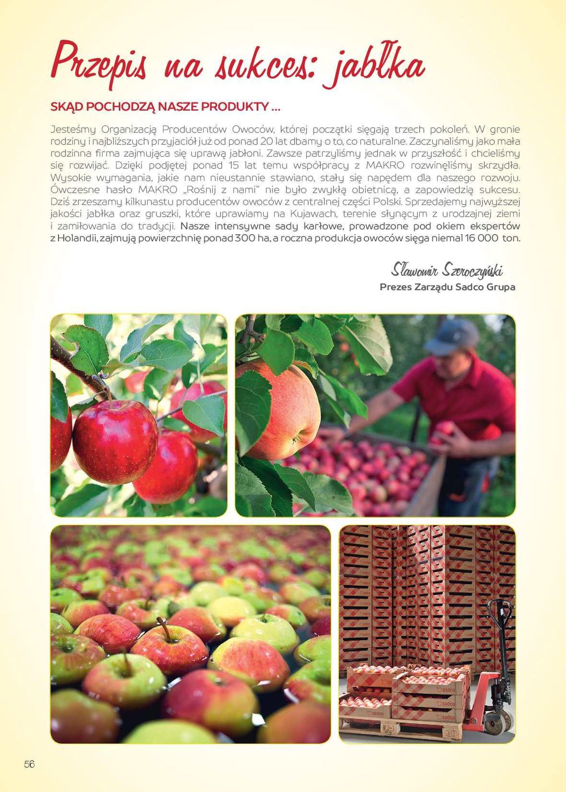 Gazetka promocyjna MAKRO str. 56