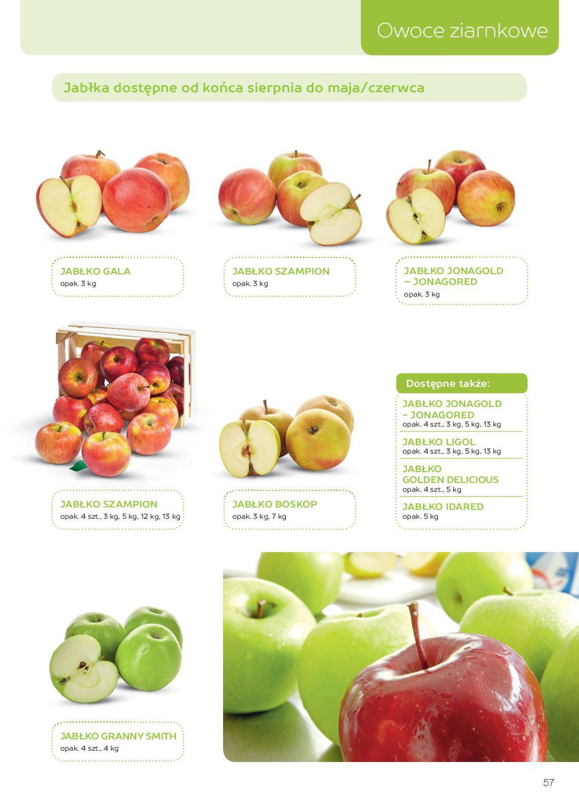 Gazetka promocyjna MAKRO str. 57