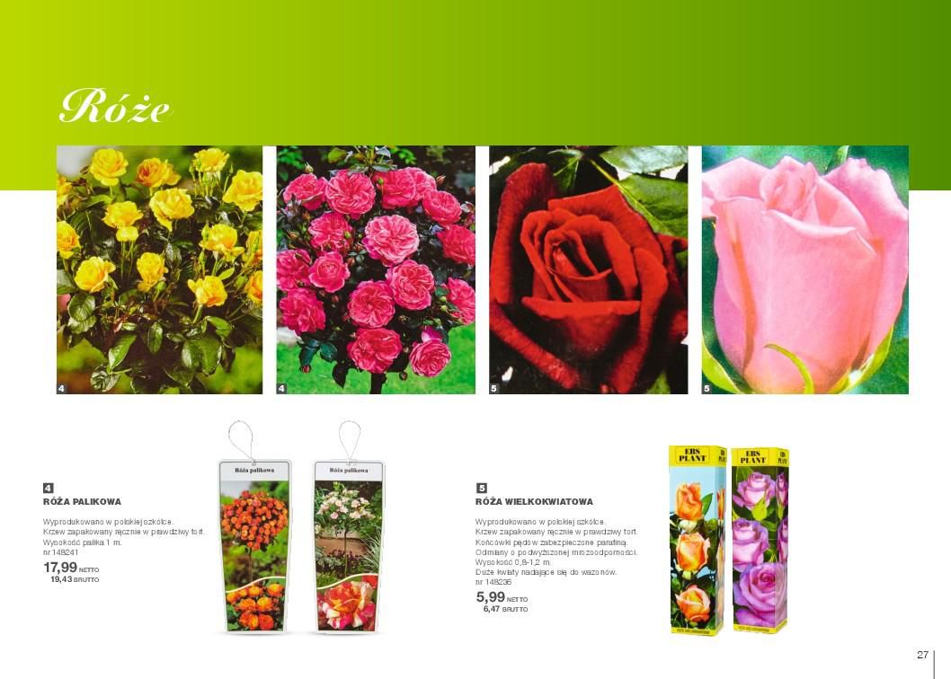 Gazetka promocyjna MAKRO str. 27