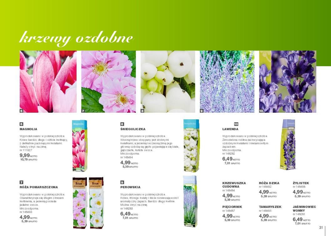 Gazetka promocyjna MAKRO str. 31