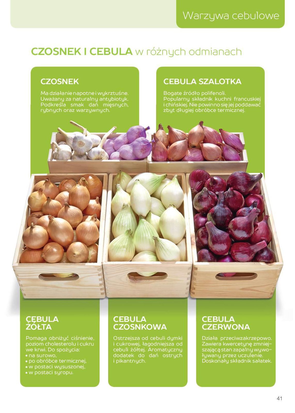 Gazetka promocyjna MAKRO str. 41